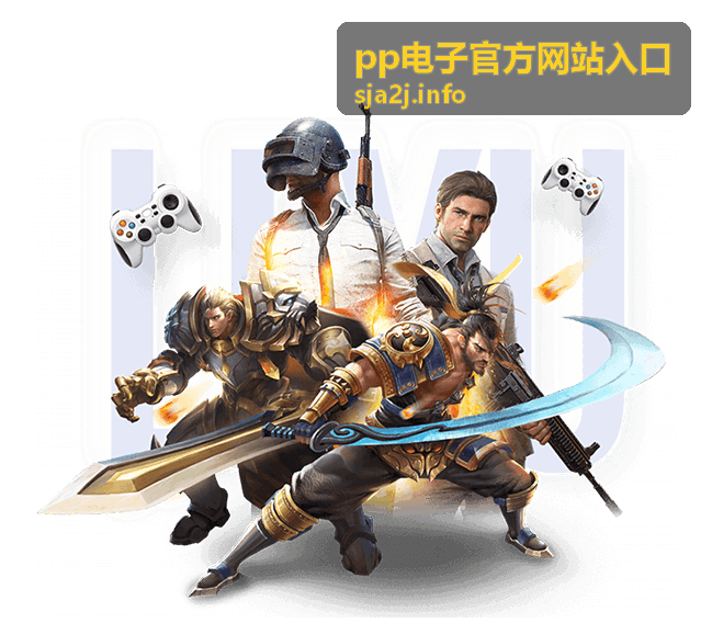 pp电子官方网站入口网络环境建议
